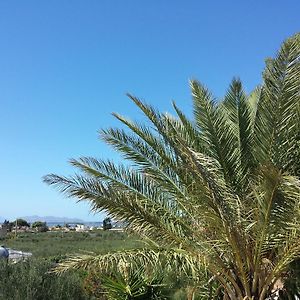 Baglio il Giovinetto